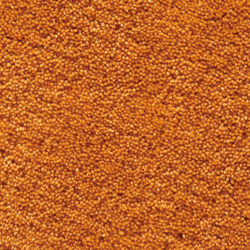 パスカル　オレンジ