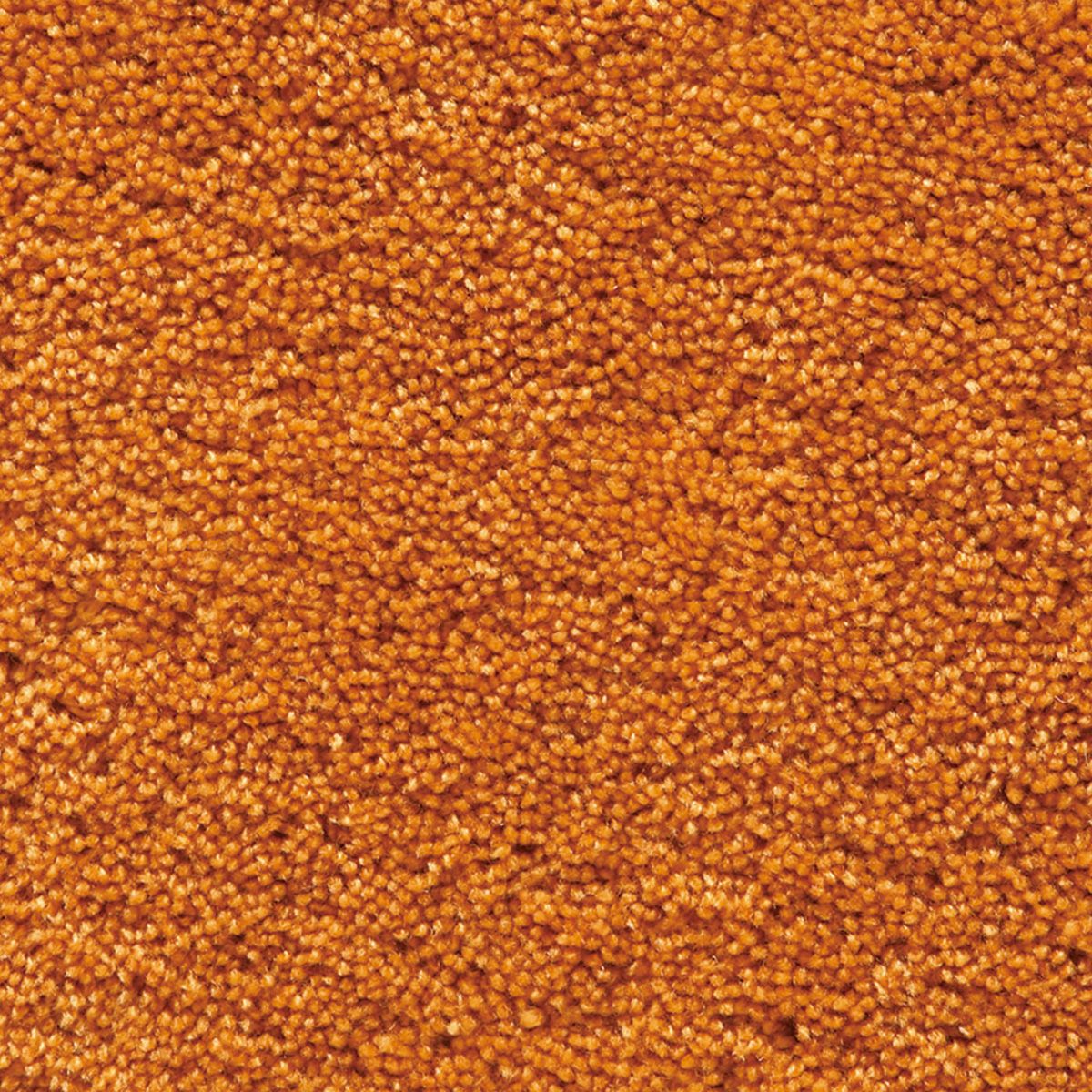 パスカル　オレンジ