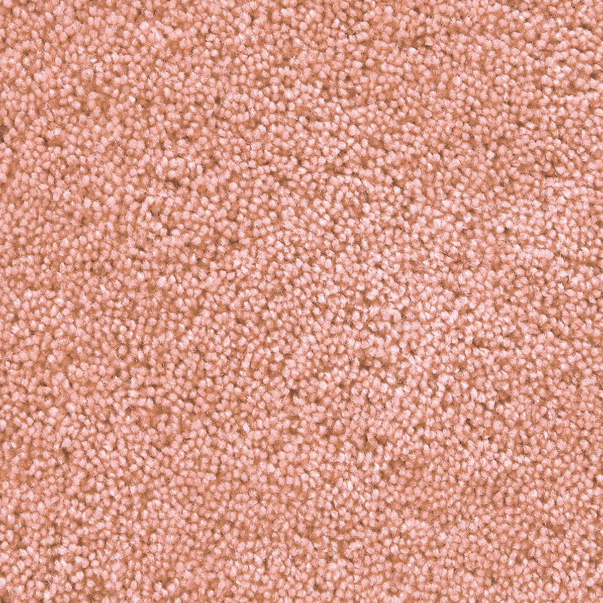 パスカル　ピンク