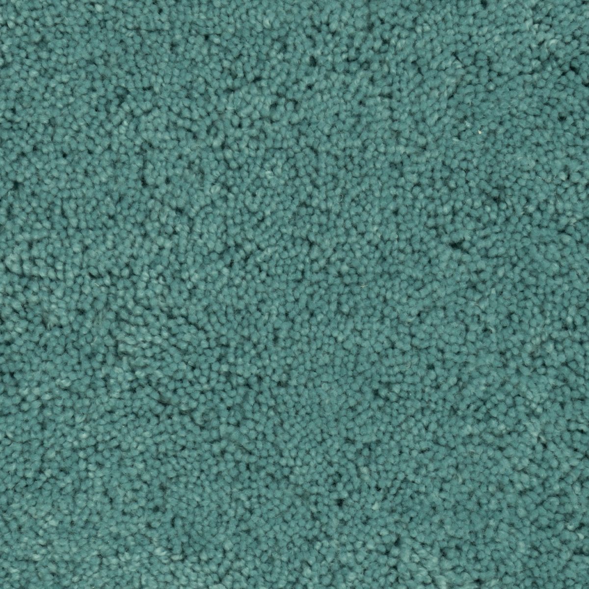 パスカル　ライトブルー