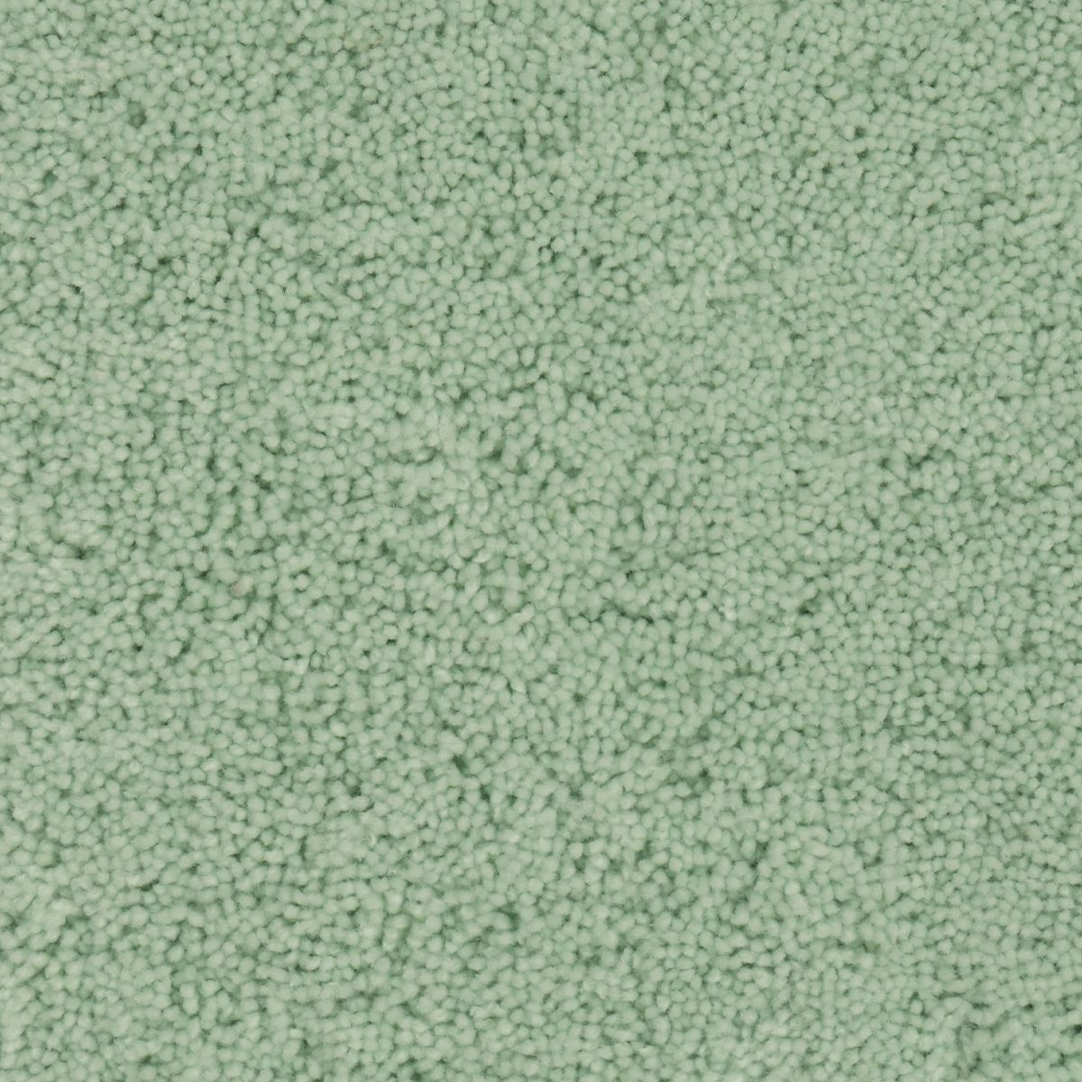 パスカル　ミントグリーン