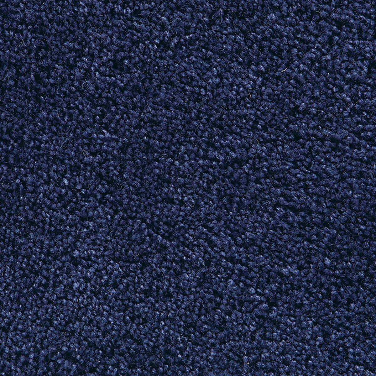 パスカル　ネイビー