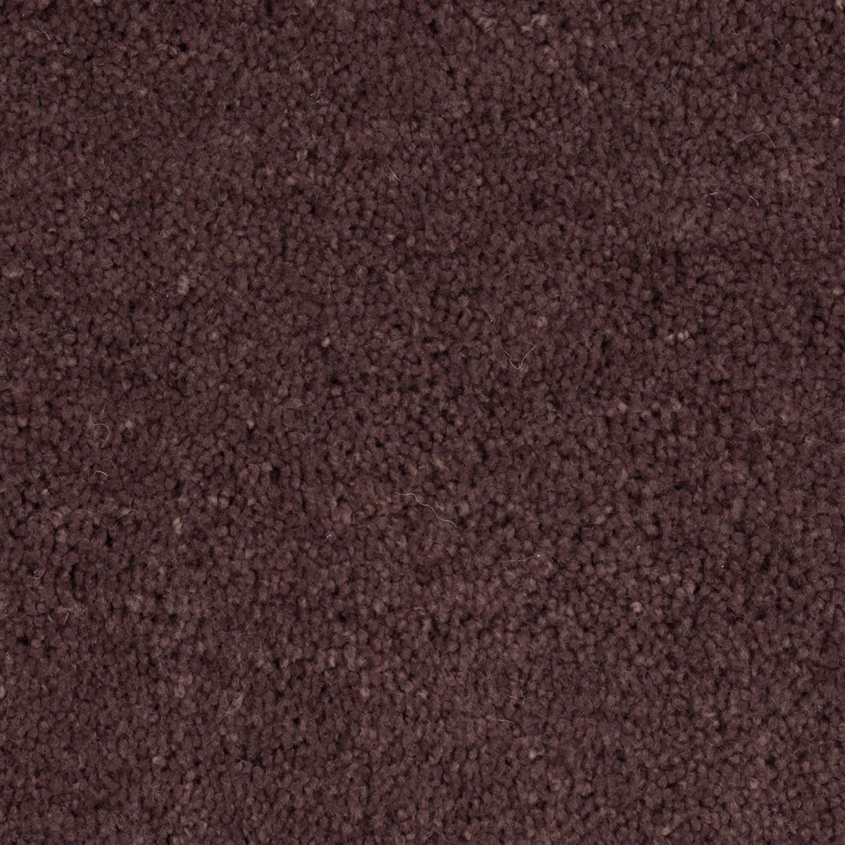 パスカル　ボルドー