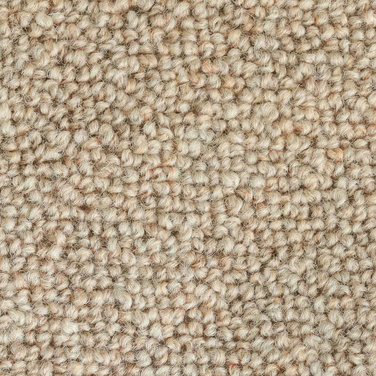 テアトル ブラウン2