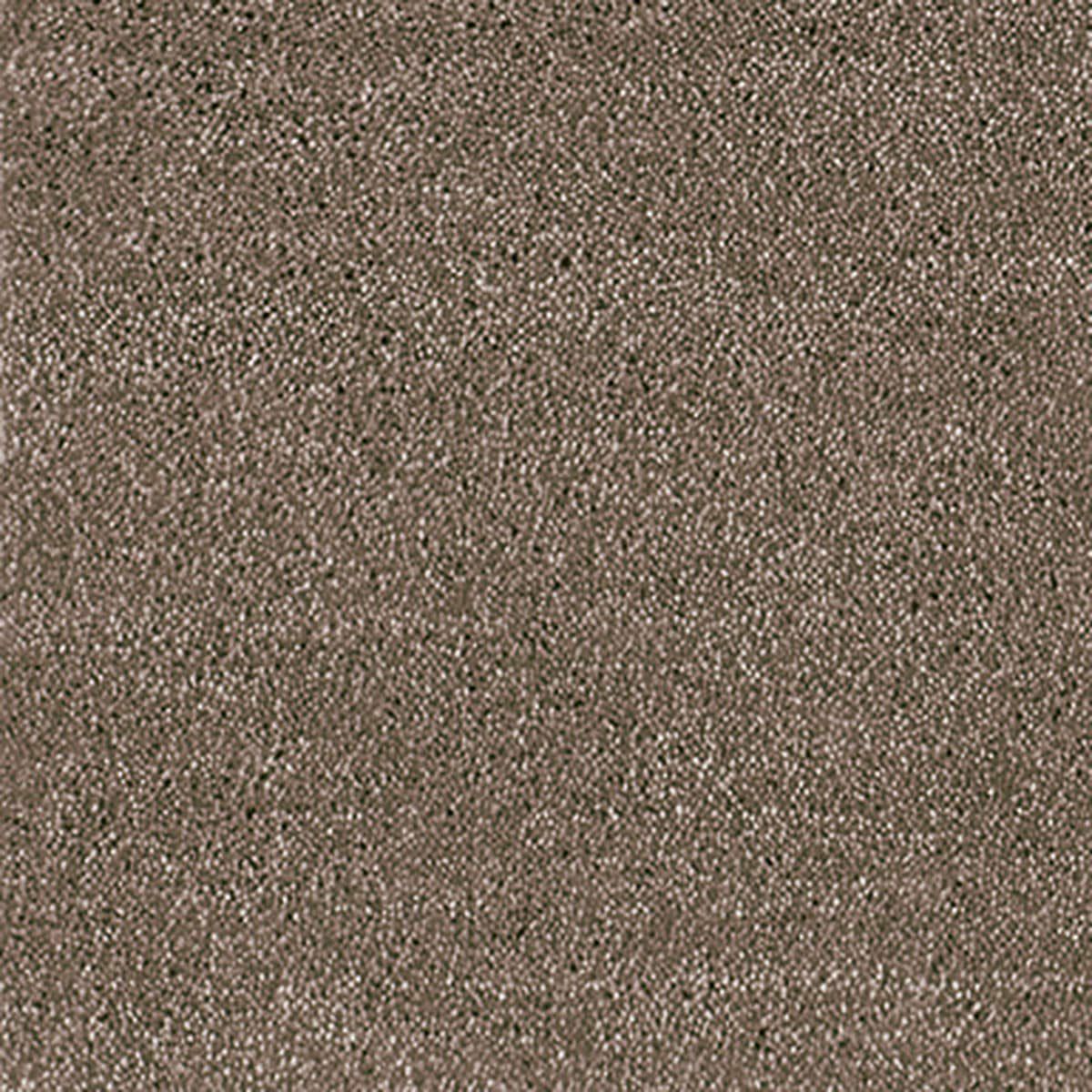 エグゼ モーヴ2