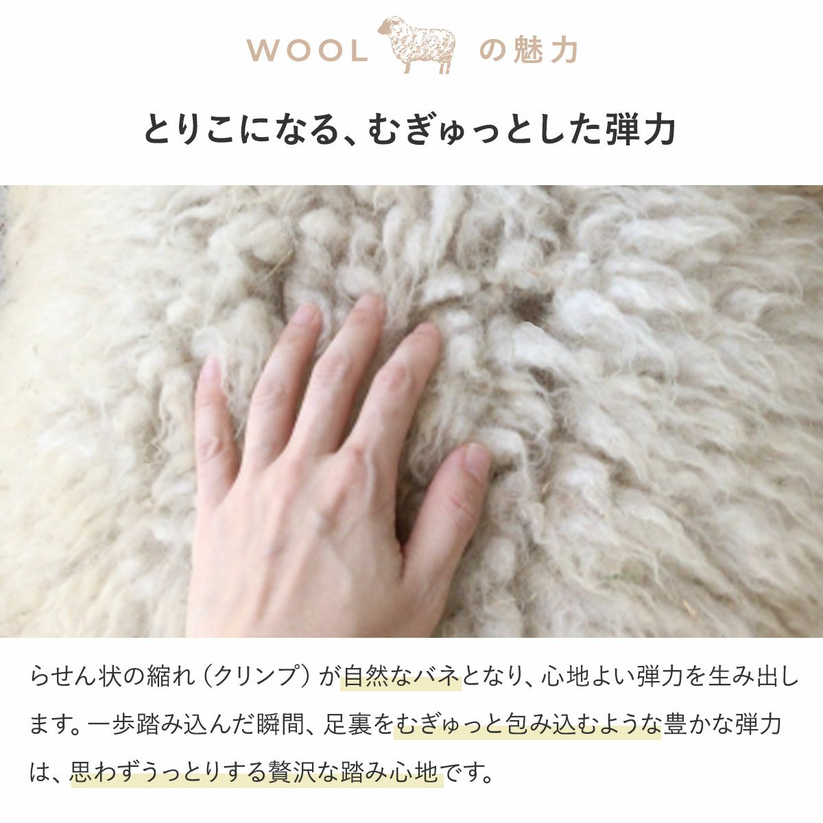ウールの魅力2