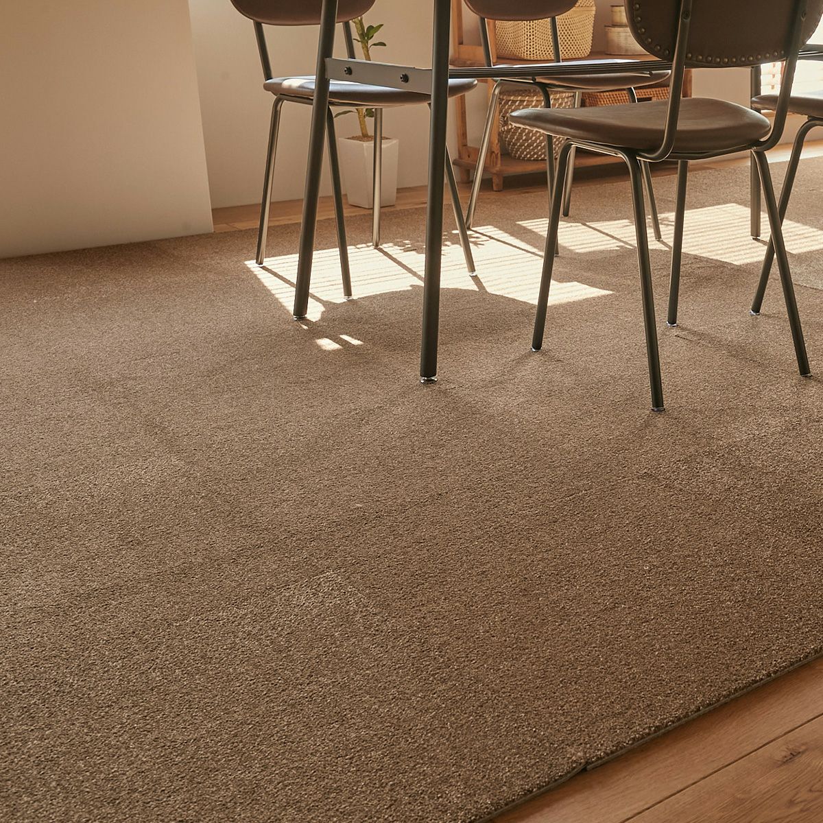 プルーフ　商品画像06