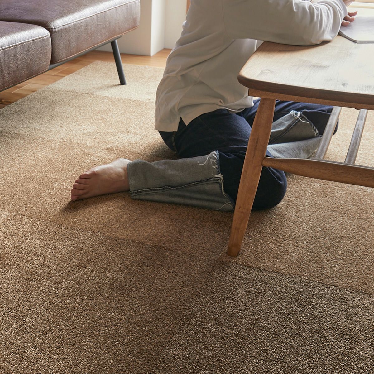 プルーフ　商品画像10