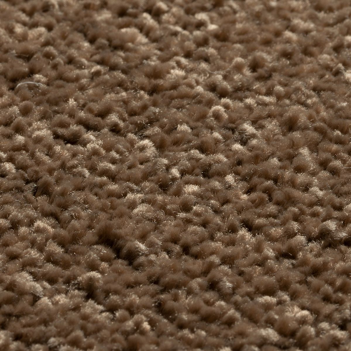 プルーフ　商品画像38