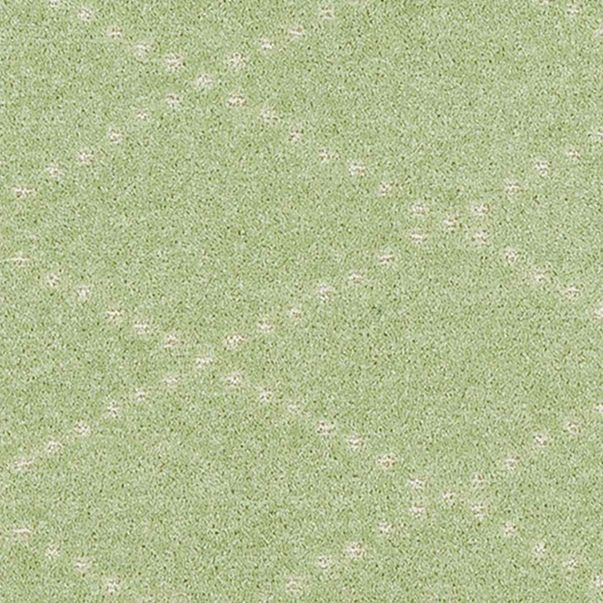 ポンテ16