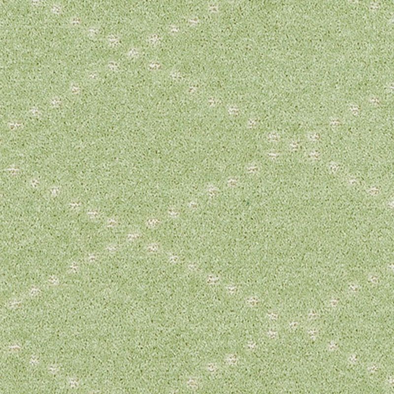ポンテ 円形08