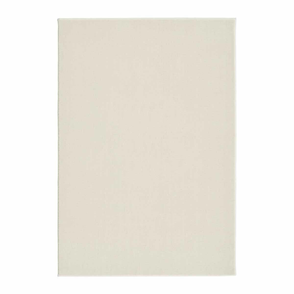 シュニー ホワイト