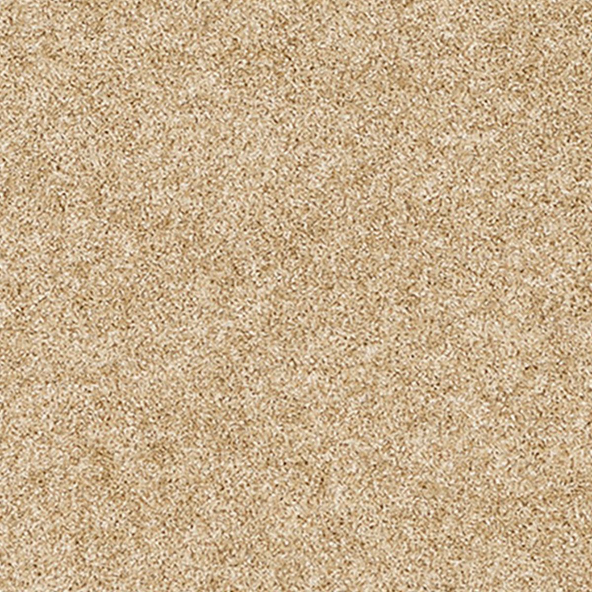 レフル カーペット22