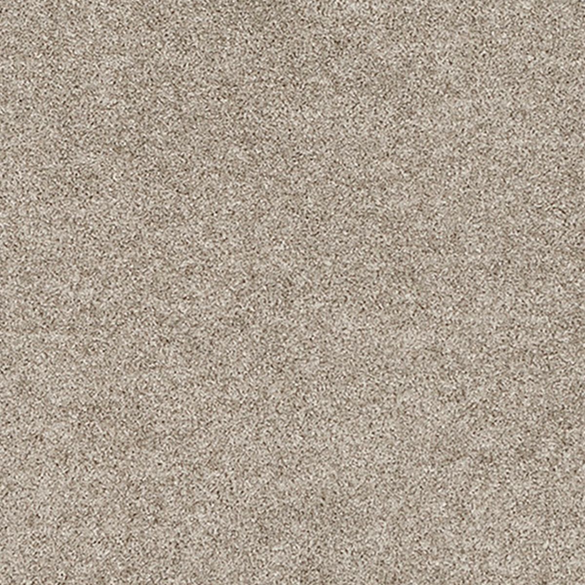 レフル カーペット27