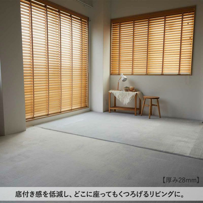 ワンダフィ【厚み約10ｍｍ】13