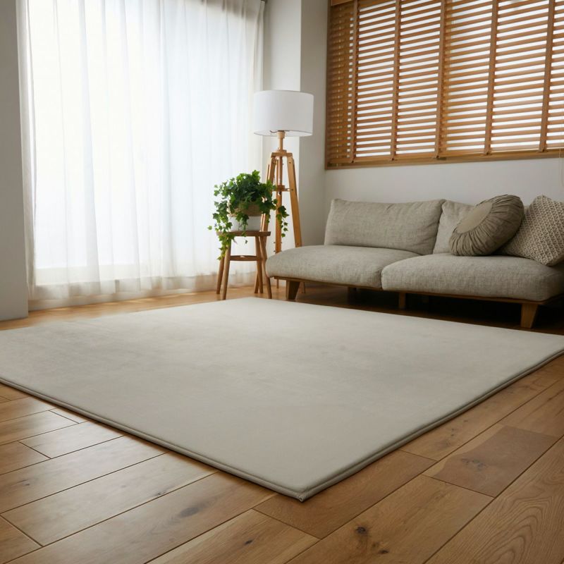 ベージュ全体イメージ