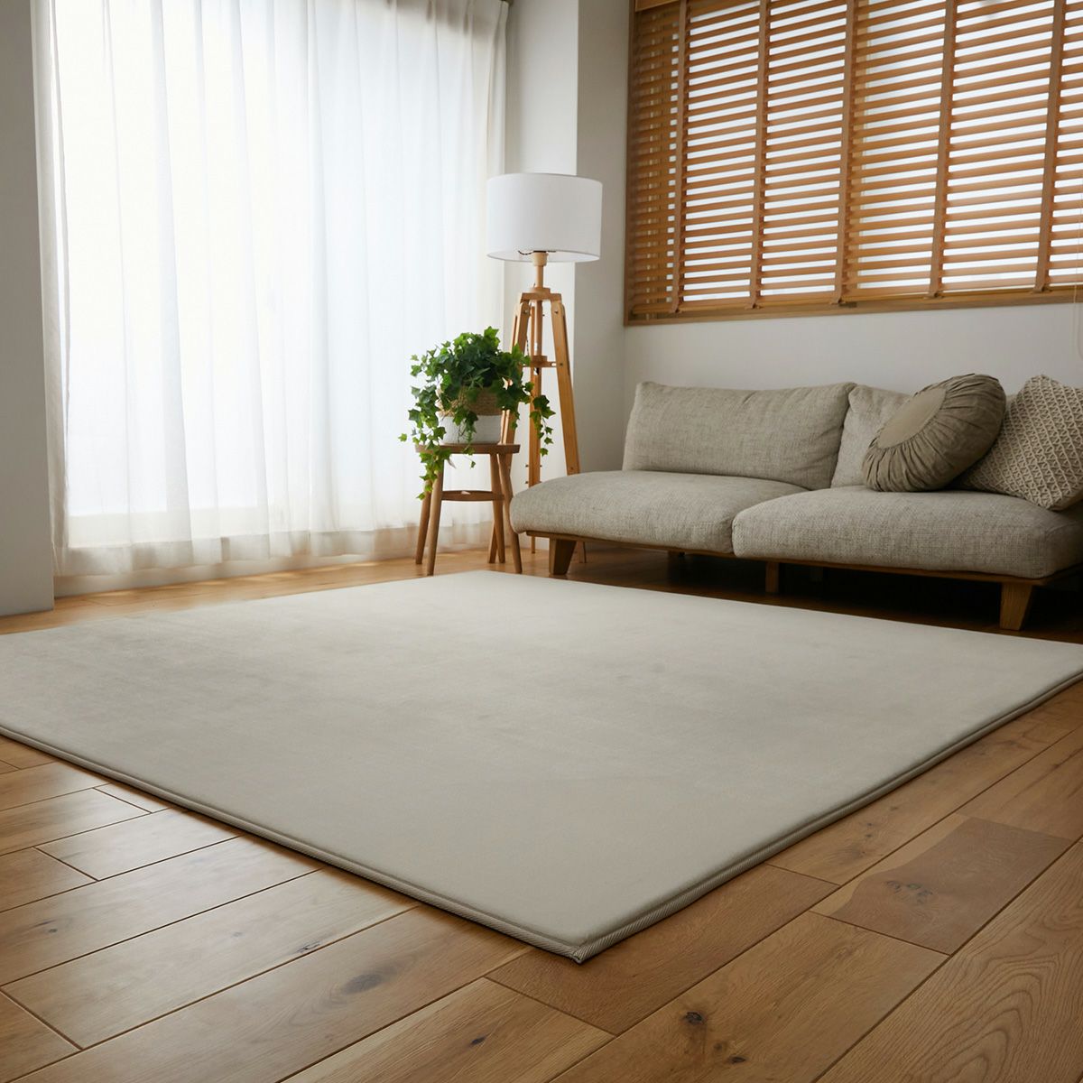 ベージュ全体イメージ