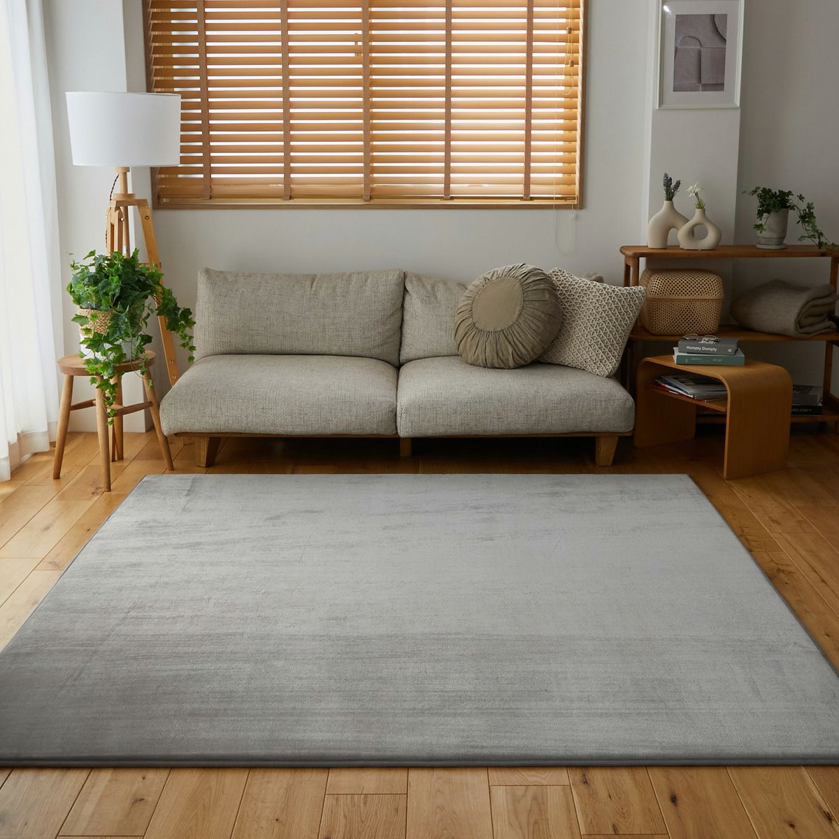 正面から見た様子