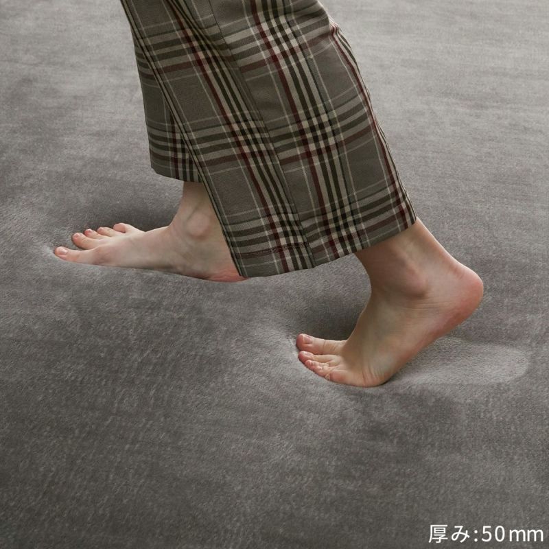 ラグの上を歩いている様子