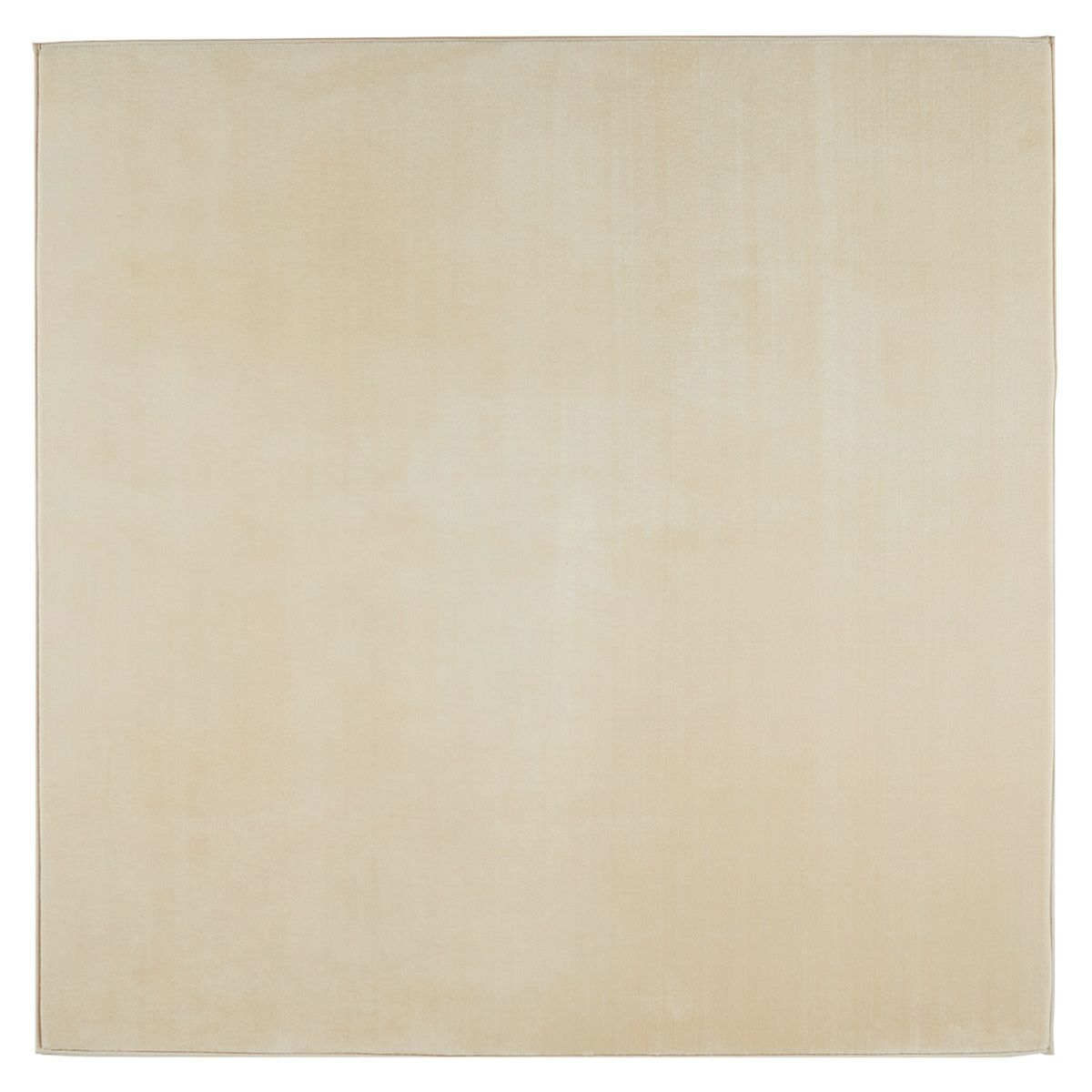 ベージュの俯瞰画像