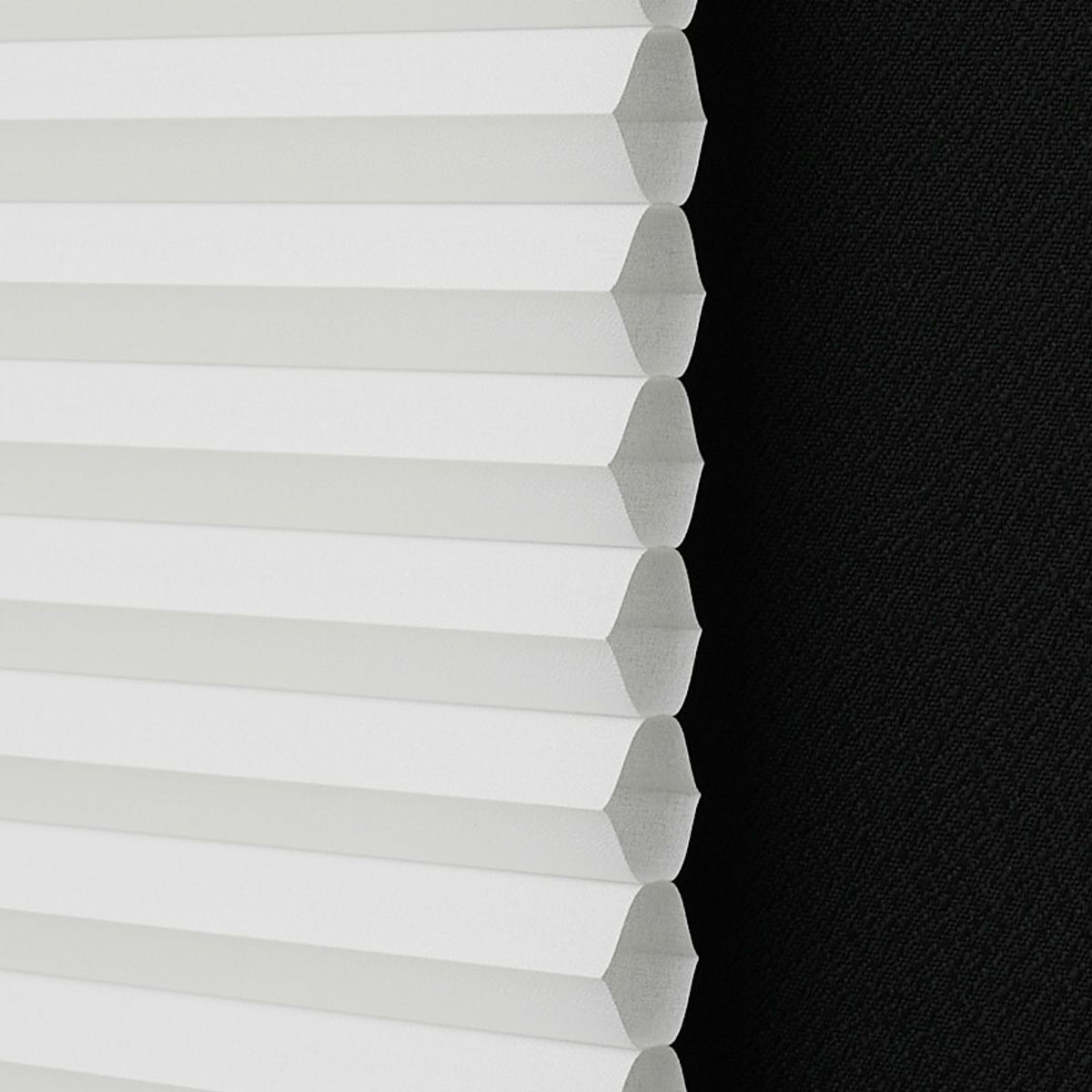 シングルハニカム　非遮光09