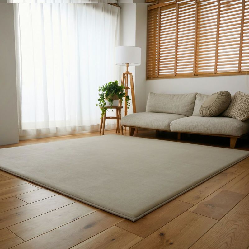 ベージュ全体イメージ