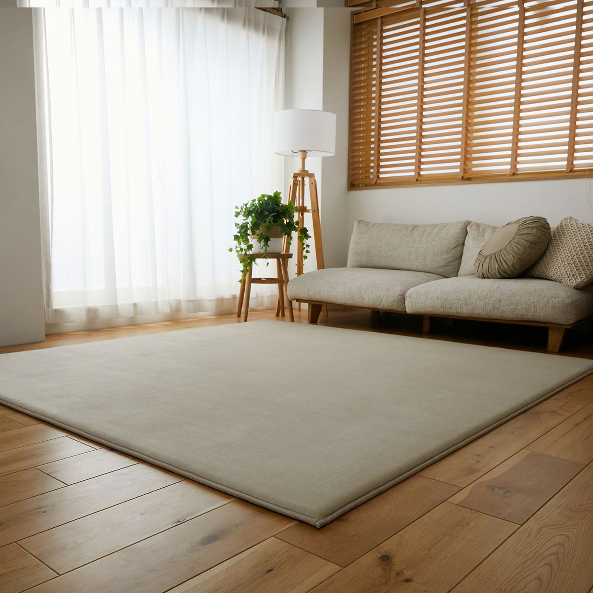 ベージュ全体イメージ