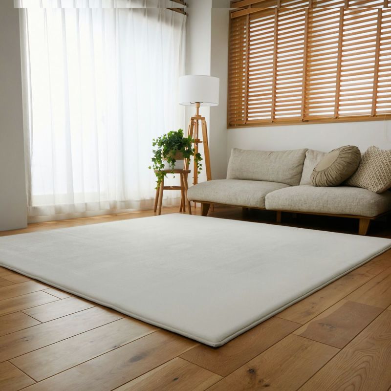 アイボリー全体イメージ