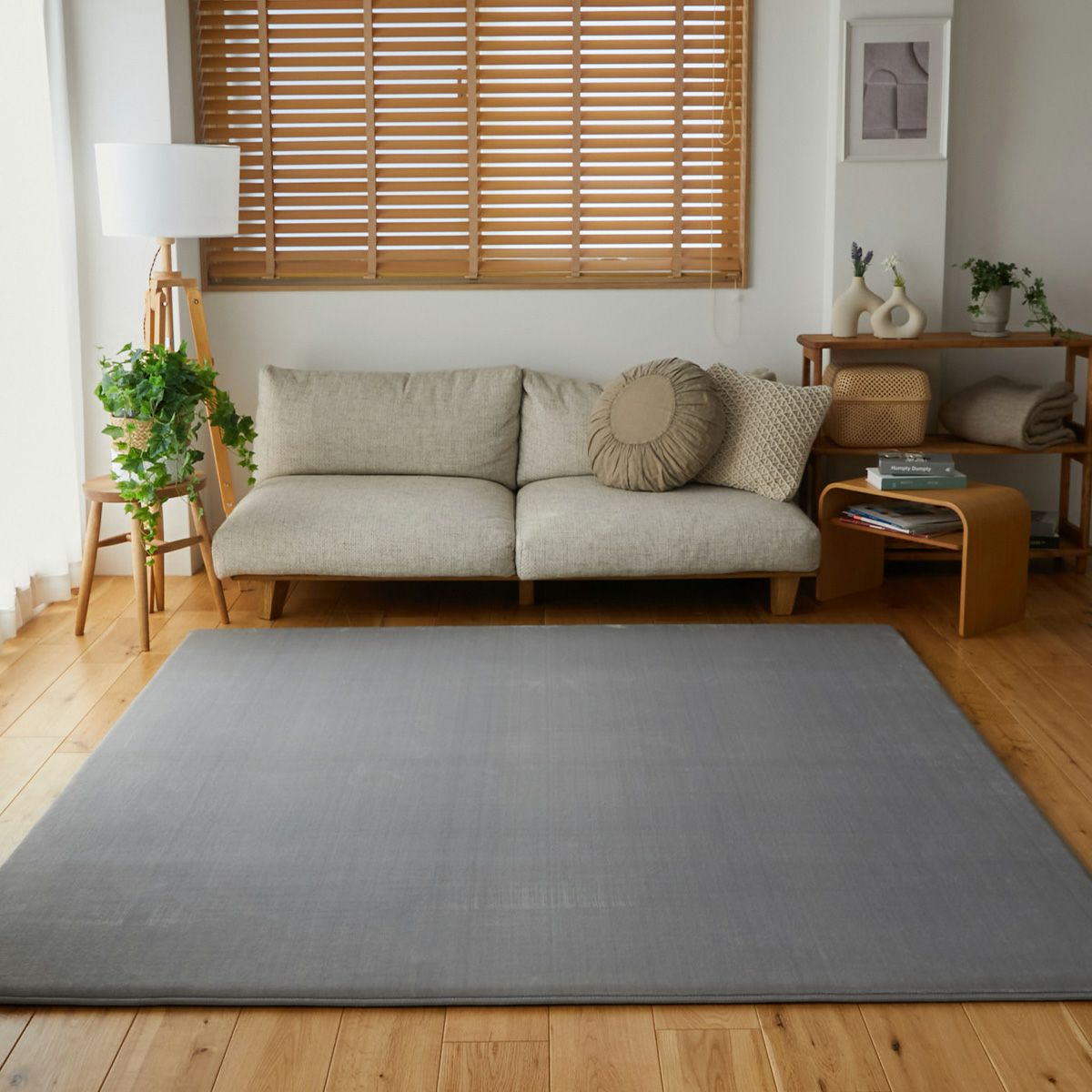 正面から見た様子