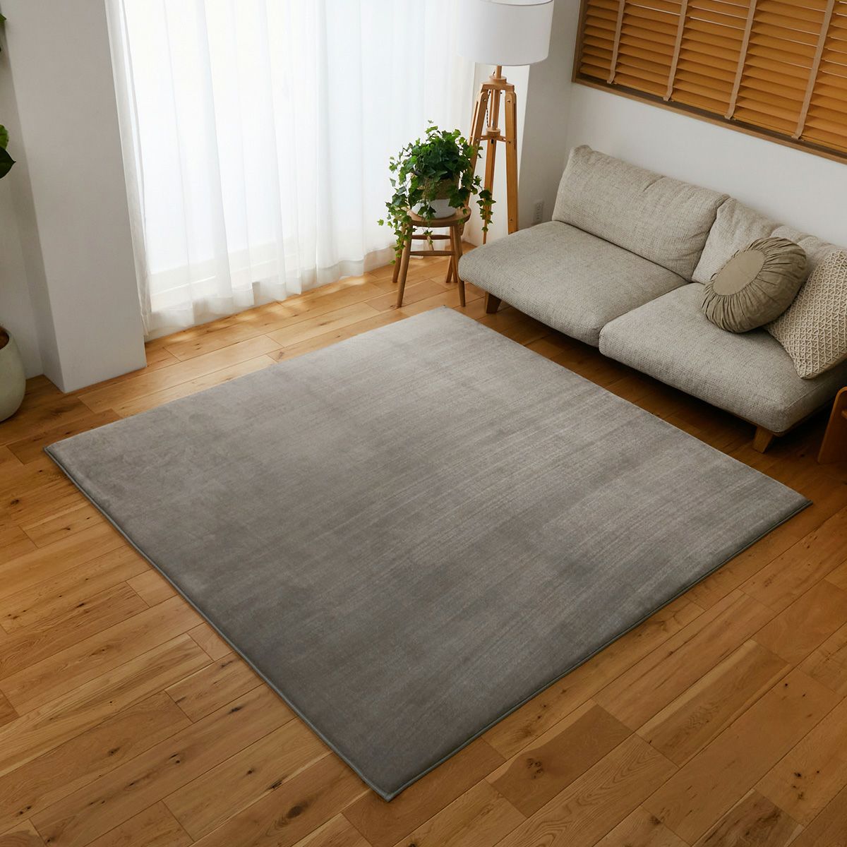 斜めから見た様子