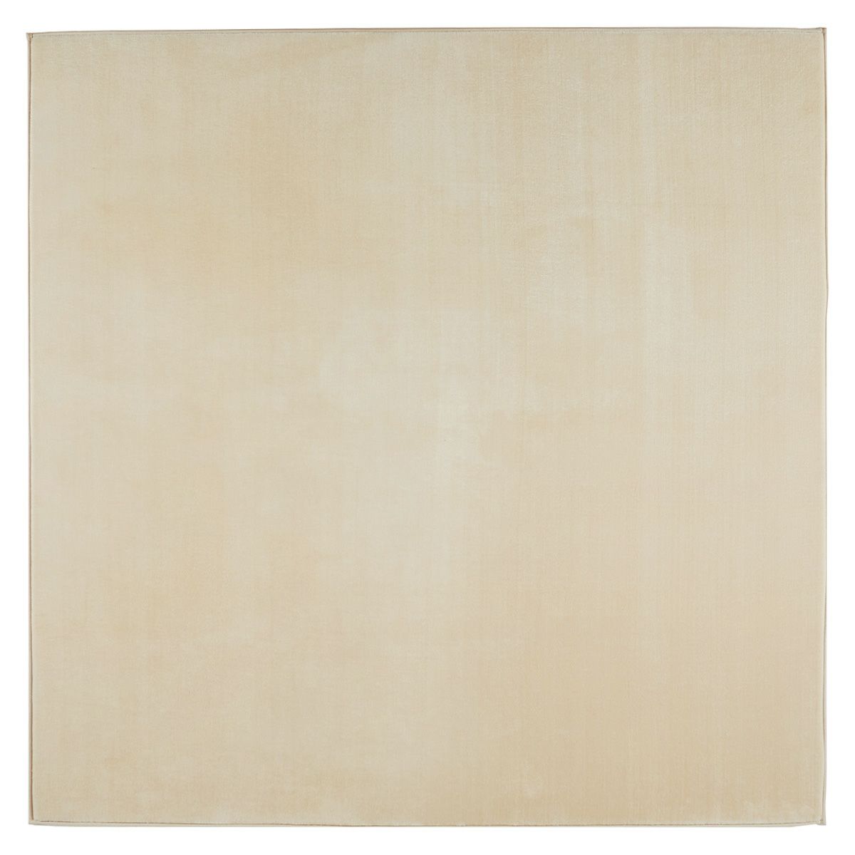 ベージュの俯瞰画像