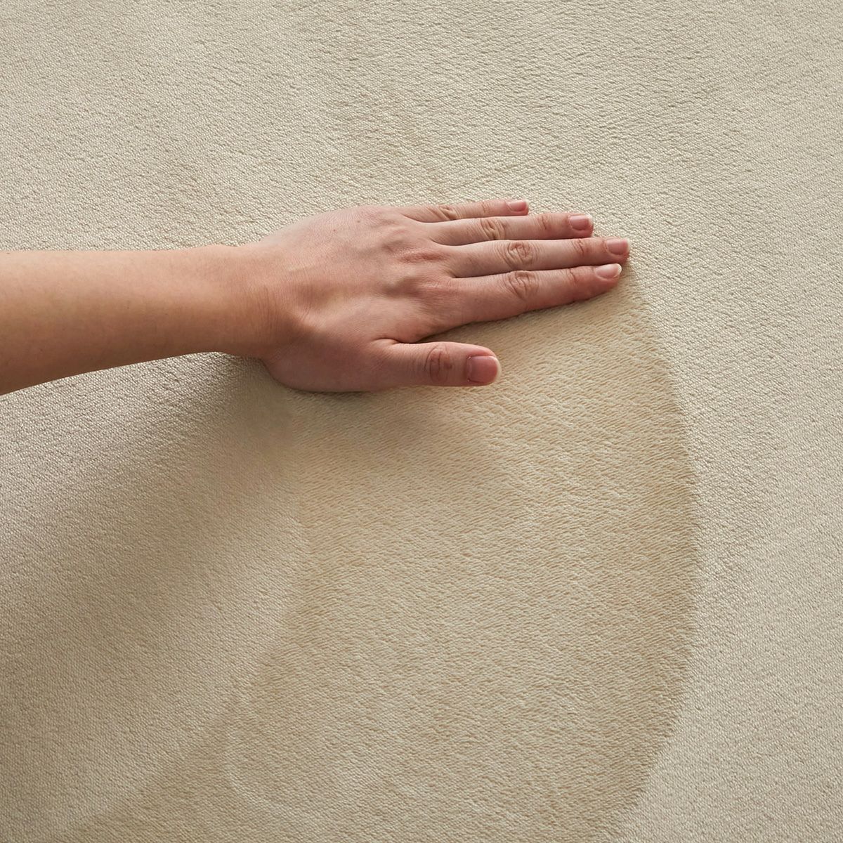 ホリデープラス 高反発【厚み約50ｍｍ】11