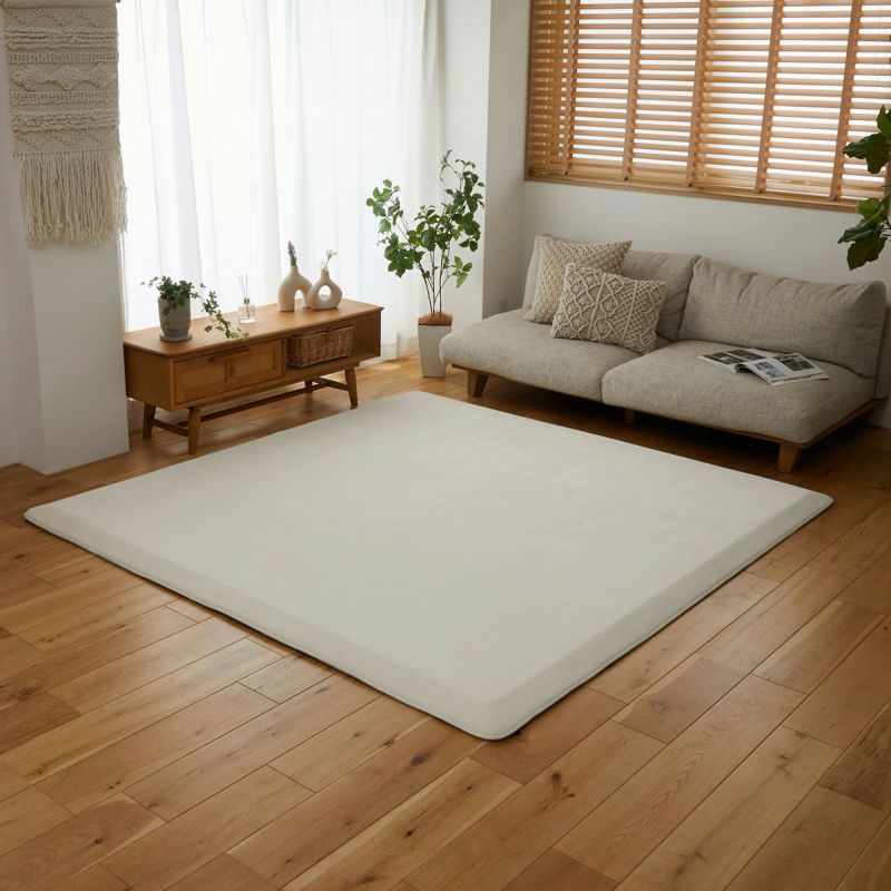 アイボリーの全体イメージ