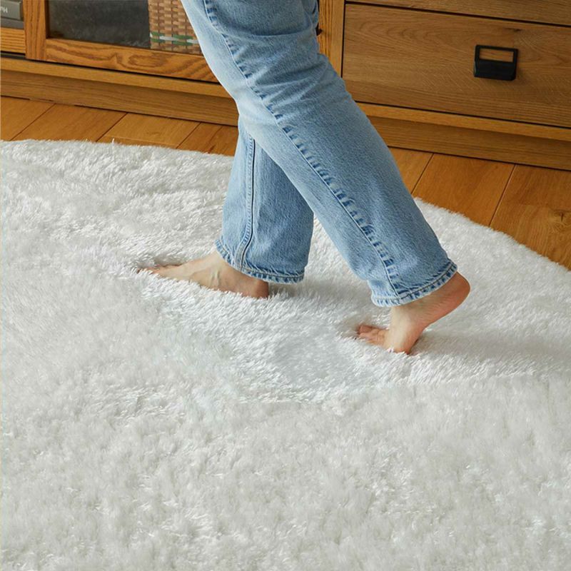 フィーヌⅡ円形02