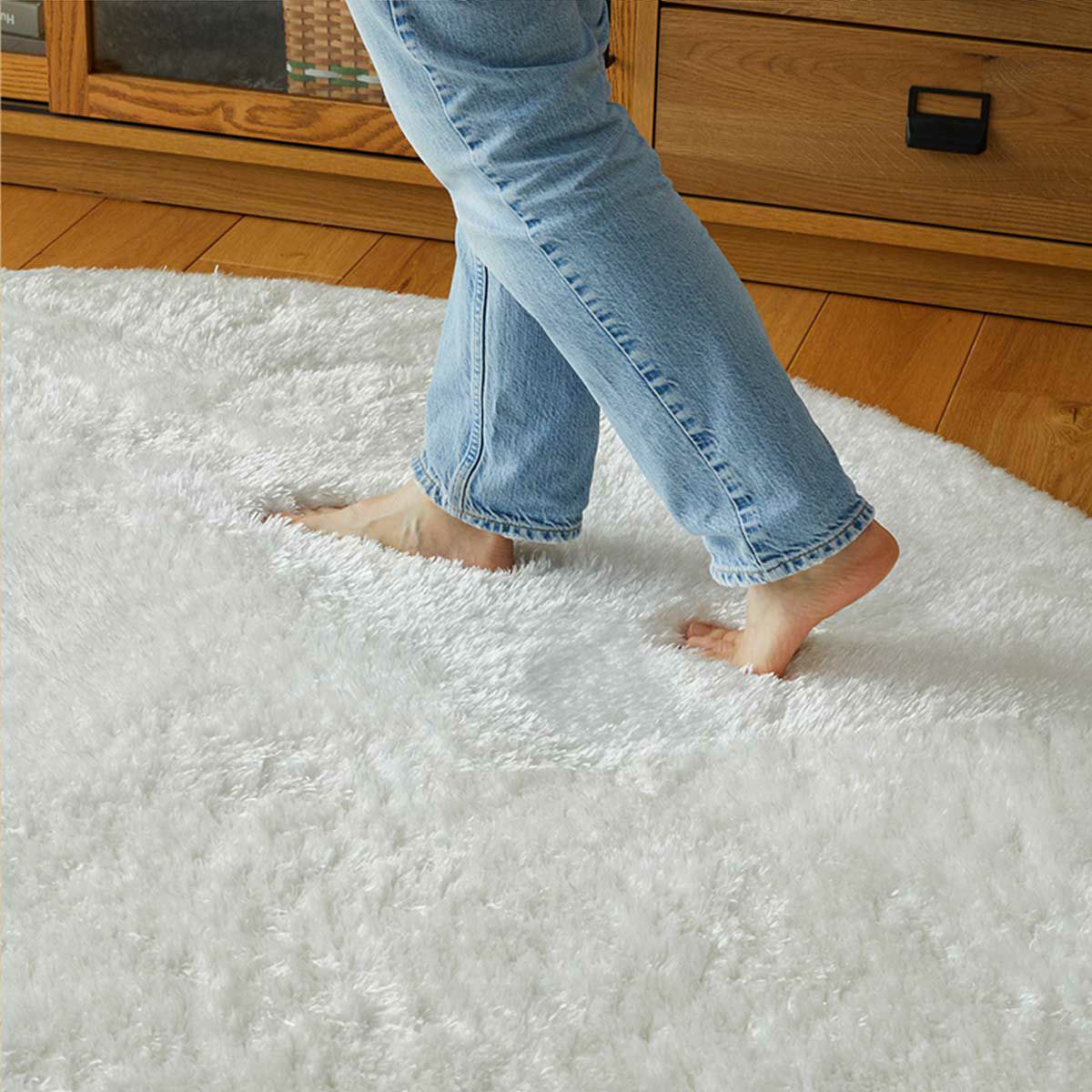 フィーヌⅡ円形02