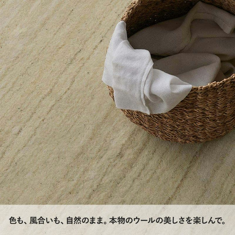バッチャ説明2