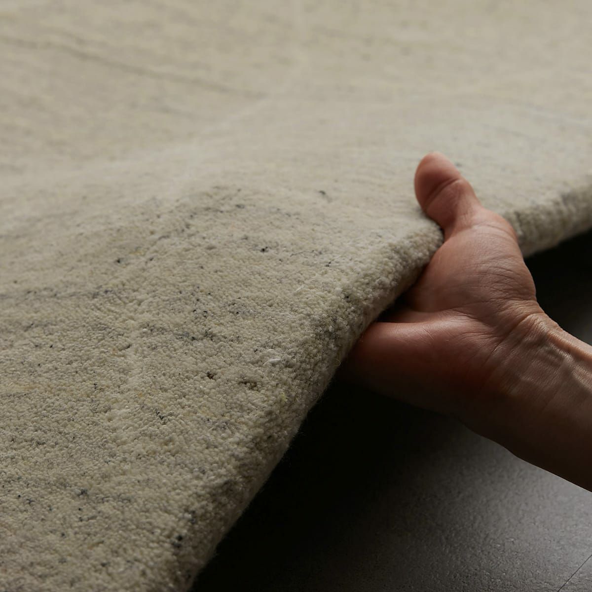 バッチャ グレー09