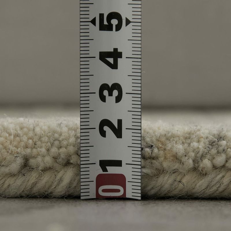 バッチャ グレー27