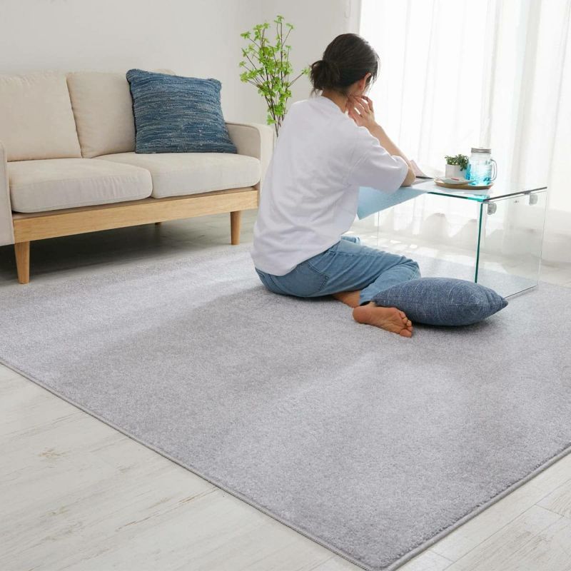 オアシス2　グレー