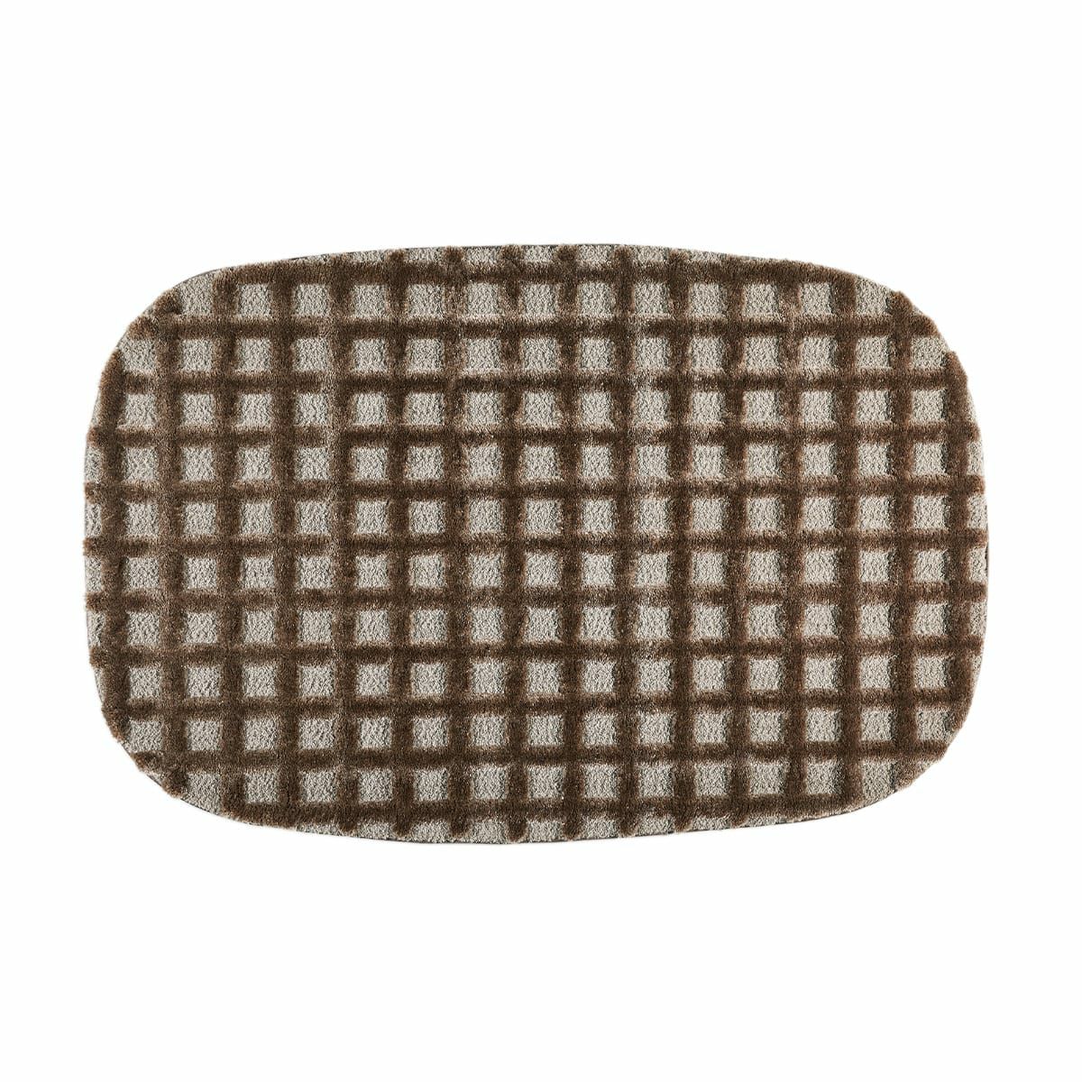 カイドリー　ブラウン真俯瞰