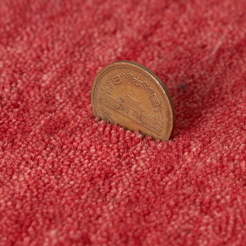 ルーミィ玄関マット_11