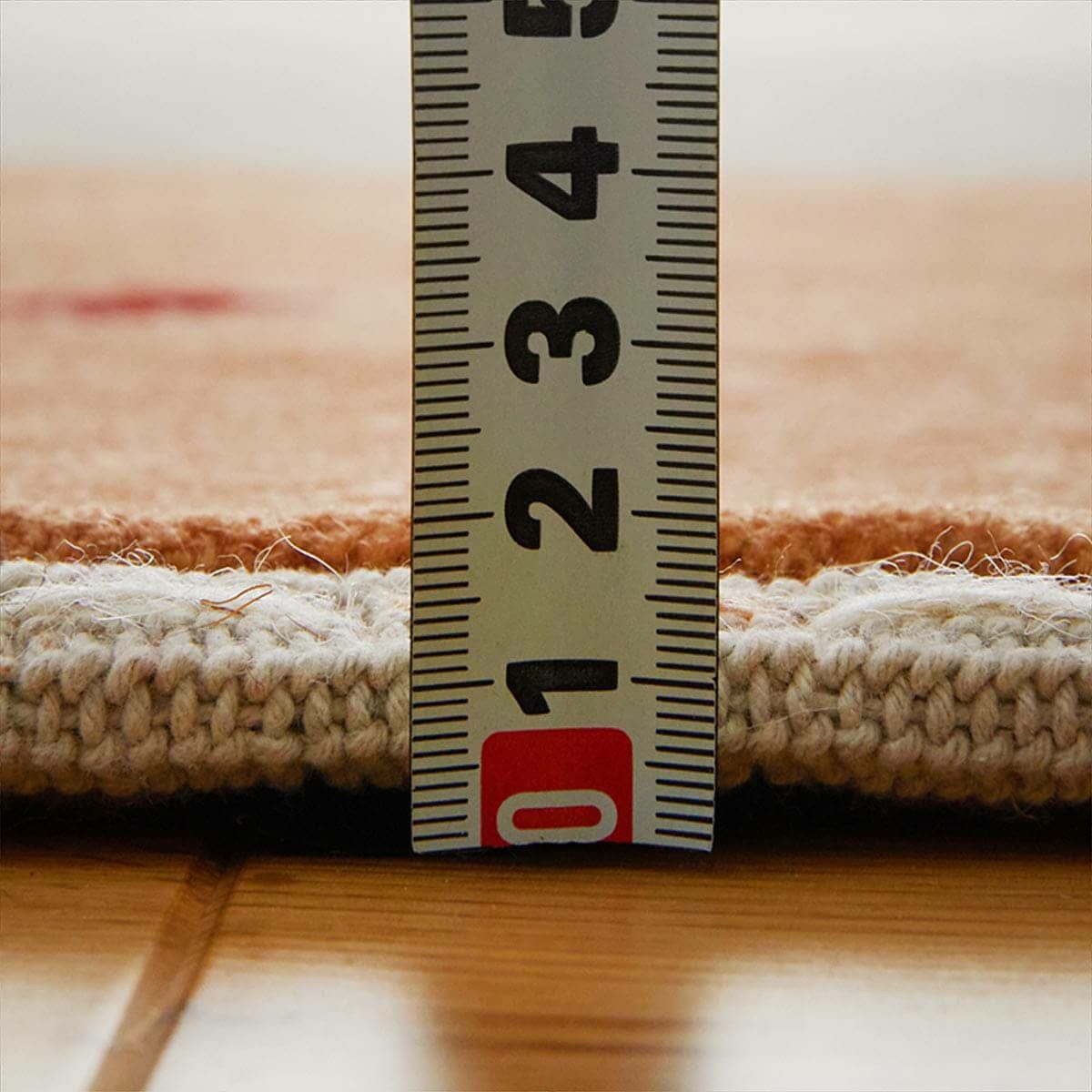 シャーンティ14