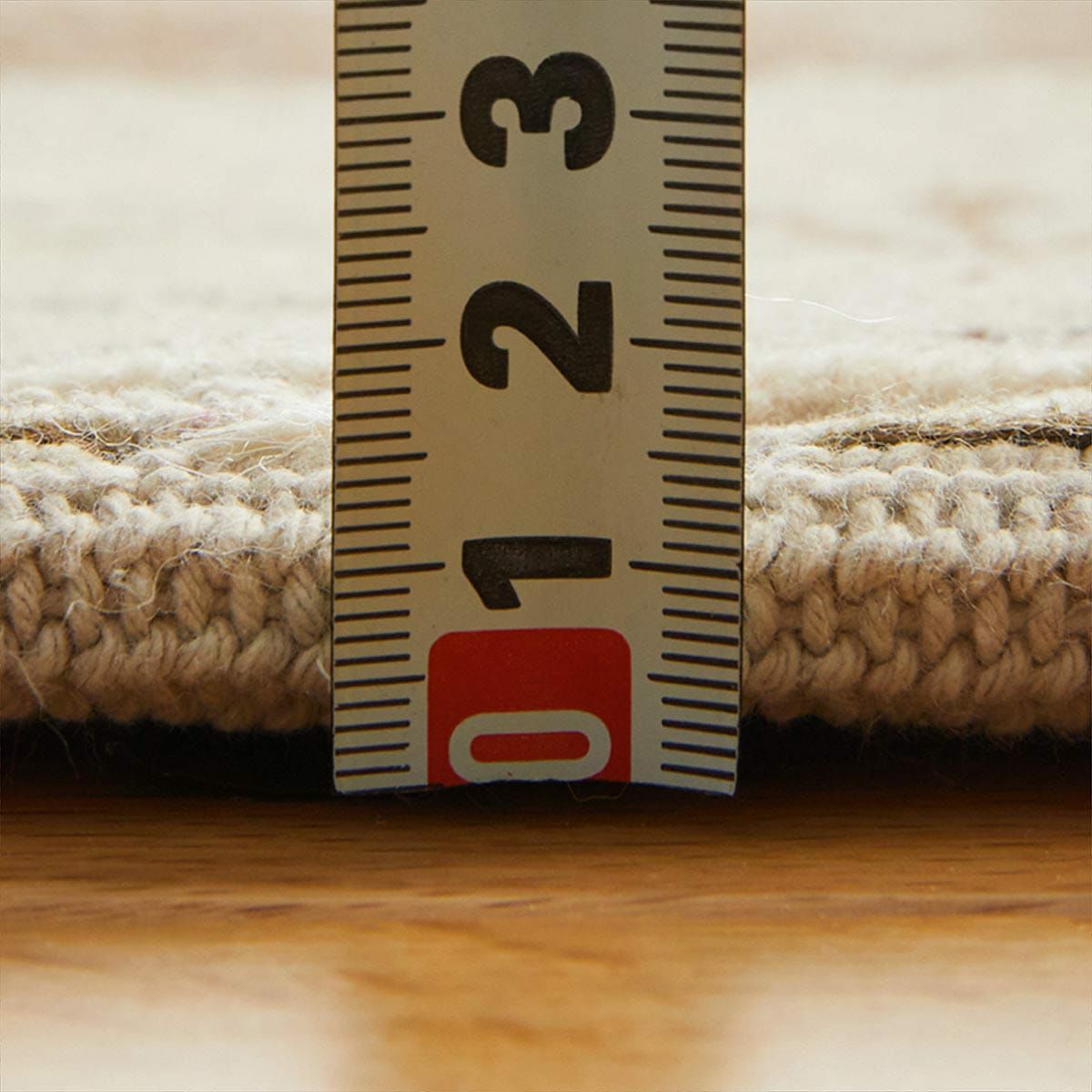 シャーンティ玄関マット13