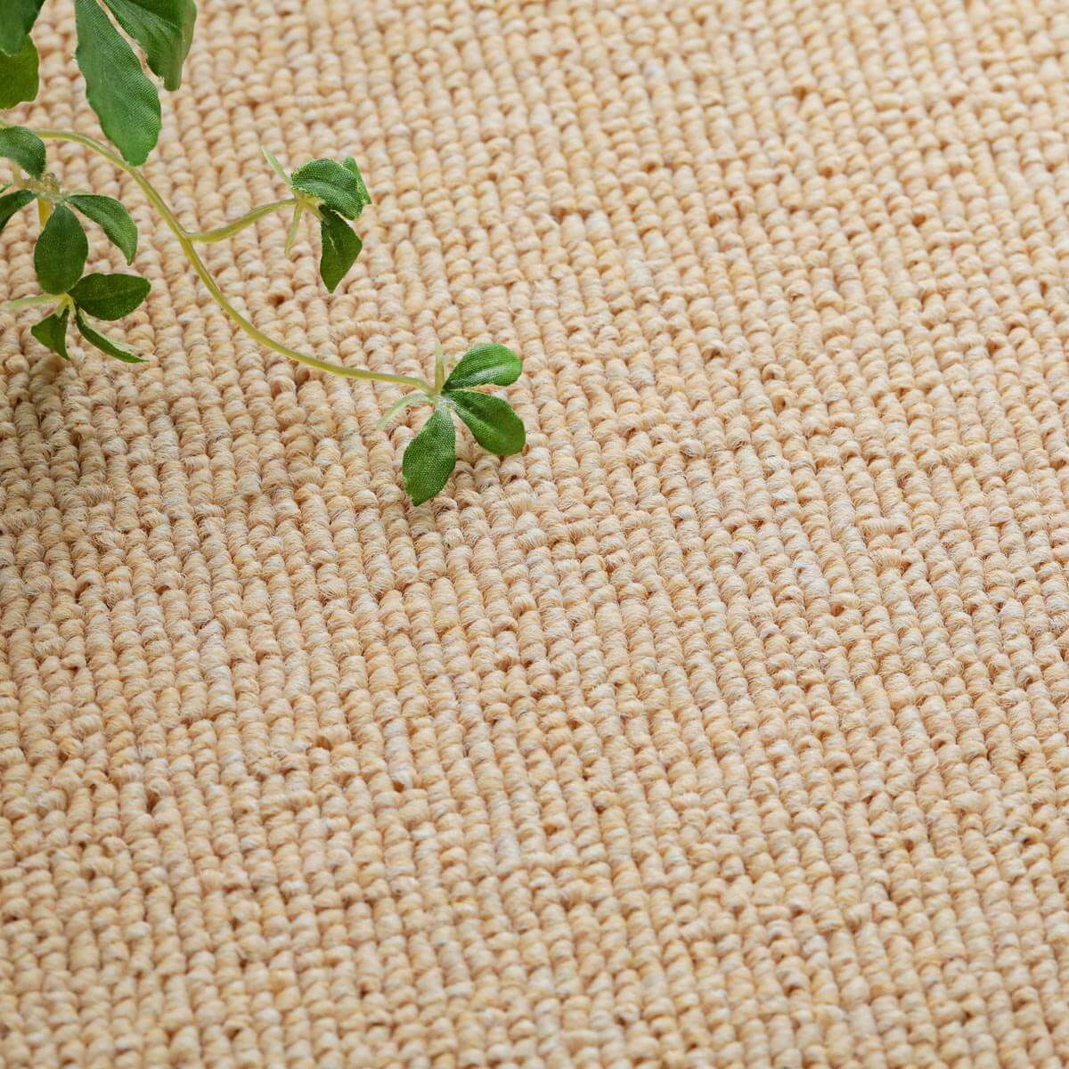 ハニーベージュ1