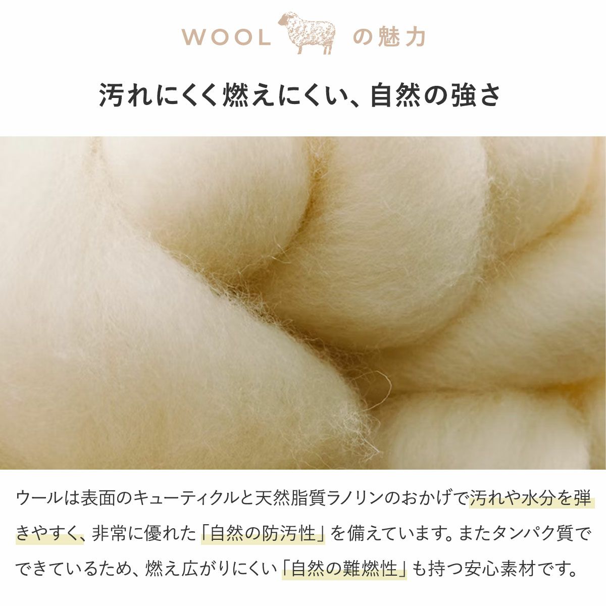 ウールの魅力3