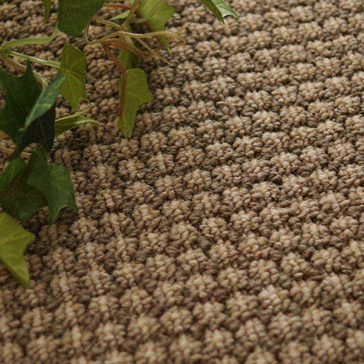 ライトブラウン4