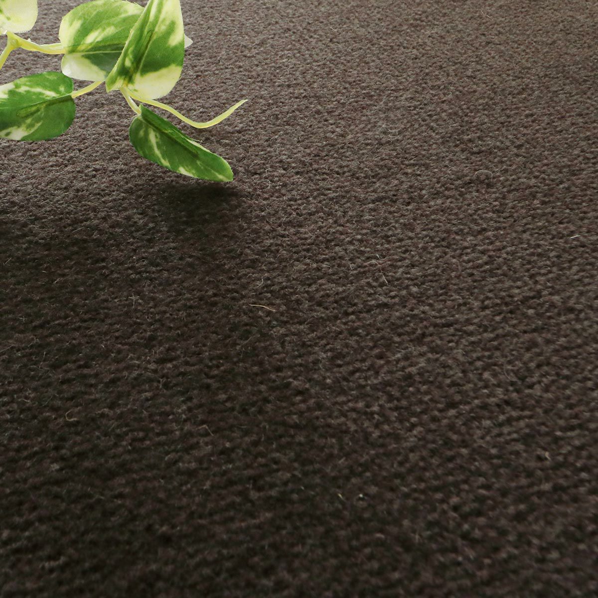 ダークブラウン2