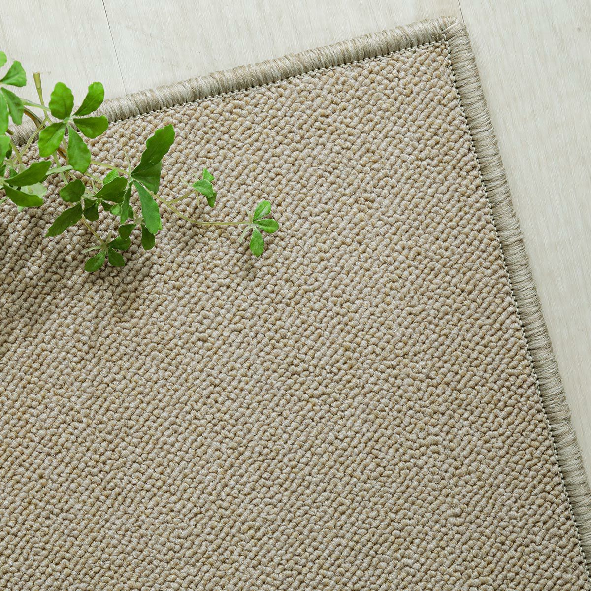 ミルクベージュ2