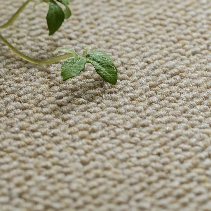 ミルクベージュ3