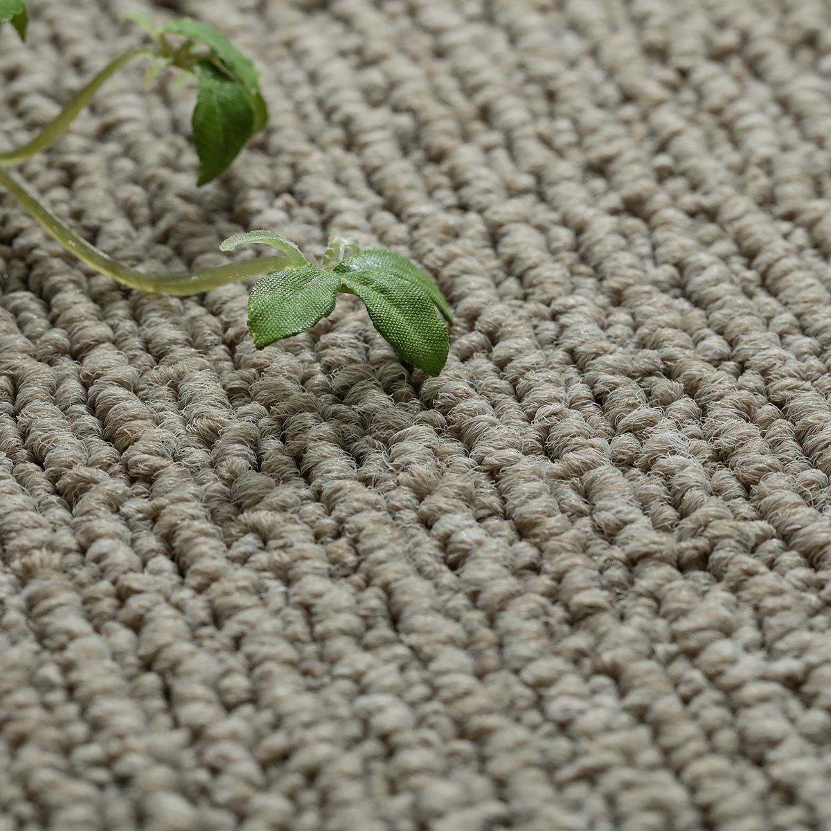 アッシュブラウン3